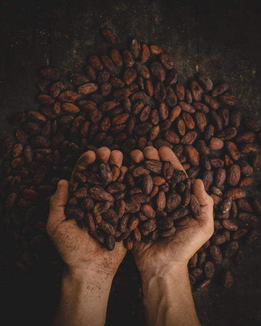 How is gourmet chocolate made? - Cravings by Zoe